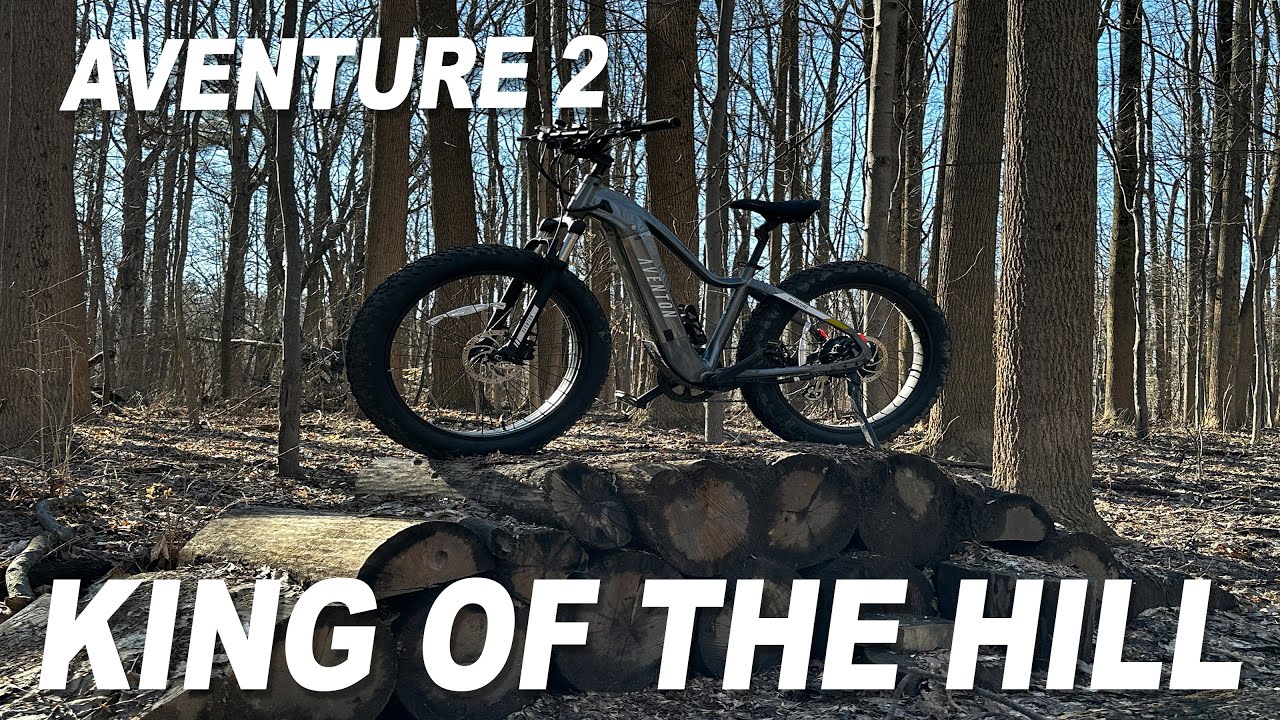 Aventon Aventure 2: Mountain Bike Trail TORTURE Test - Did It Survive?