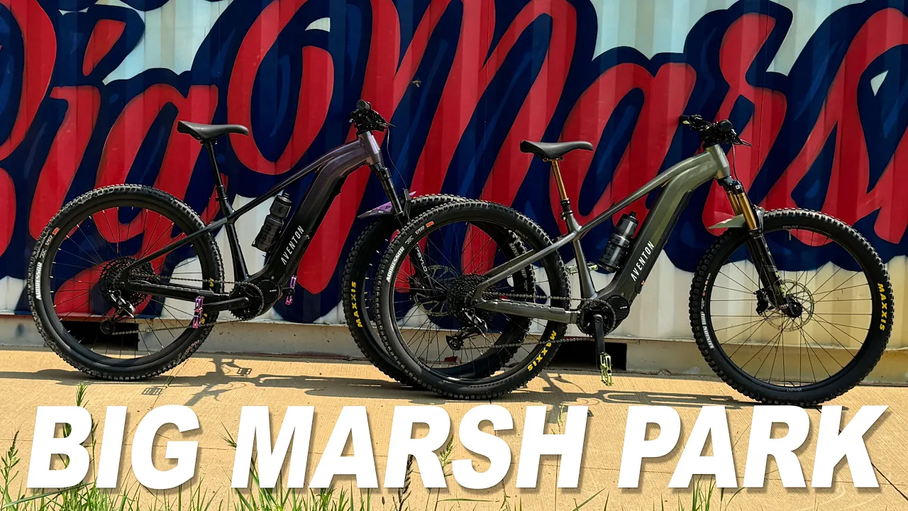 Exploring Big Marsh Park on the Aventon Ramblas